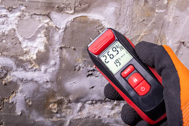 Best Water Damage Restoration  in Cheat Lake, WV