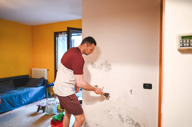 Trusted Cheat Lake, WV Mold Removal Experts